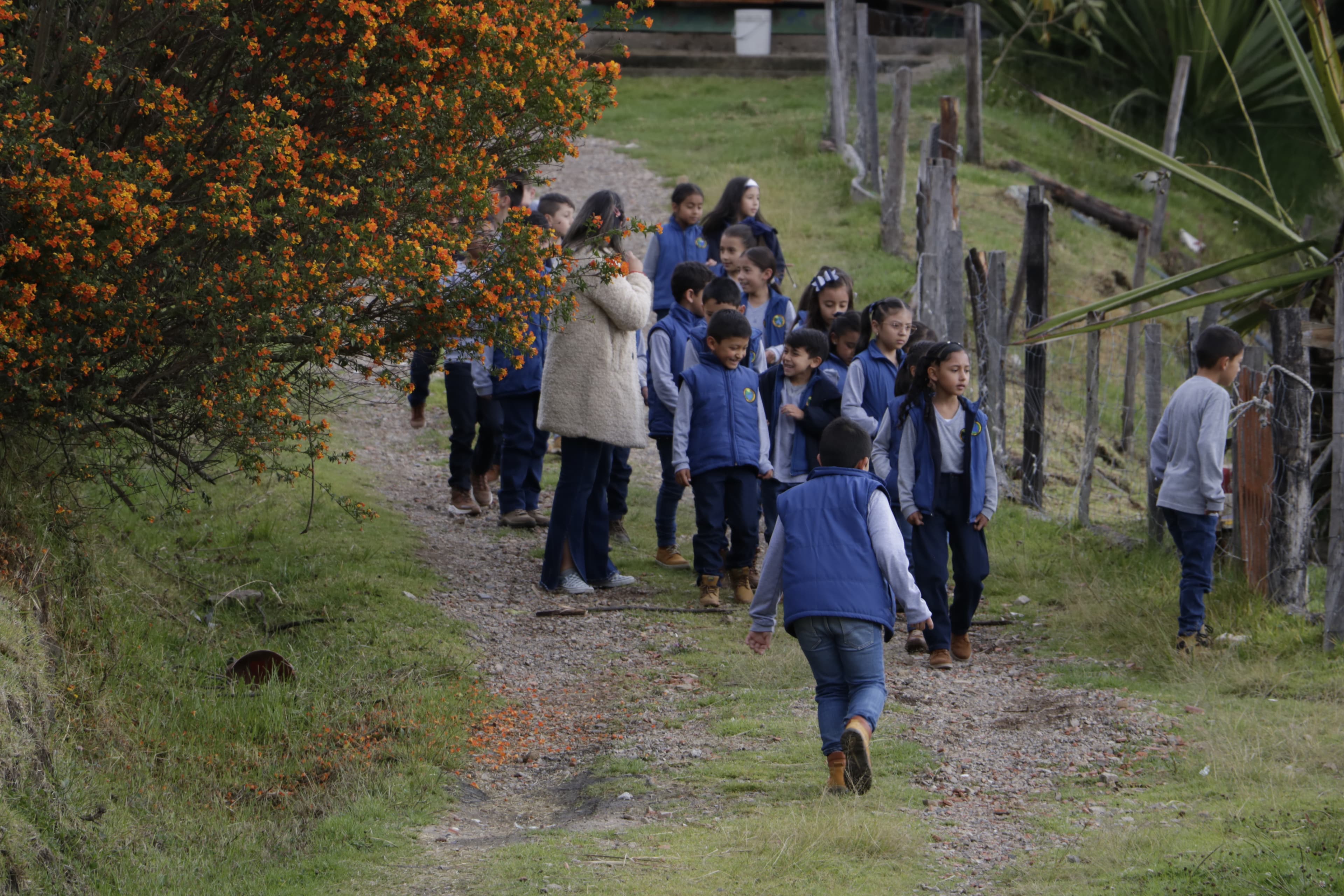 Niños en el campo