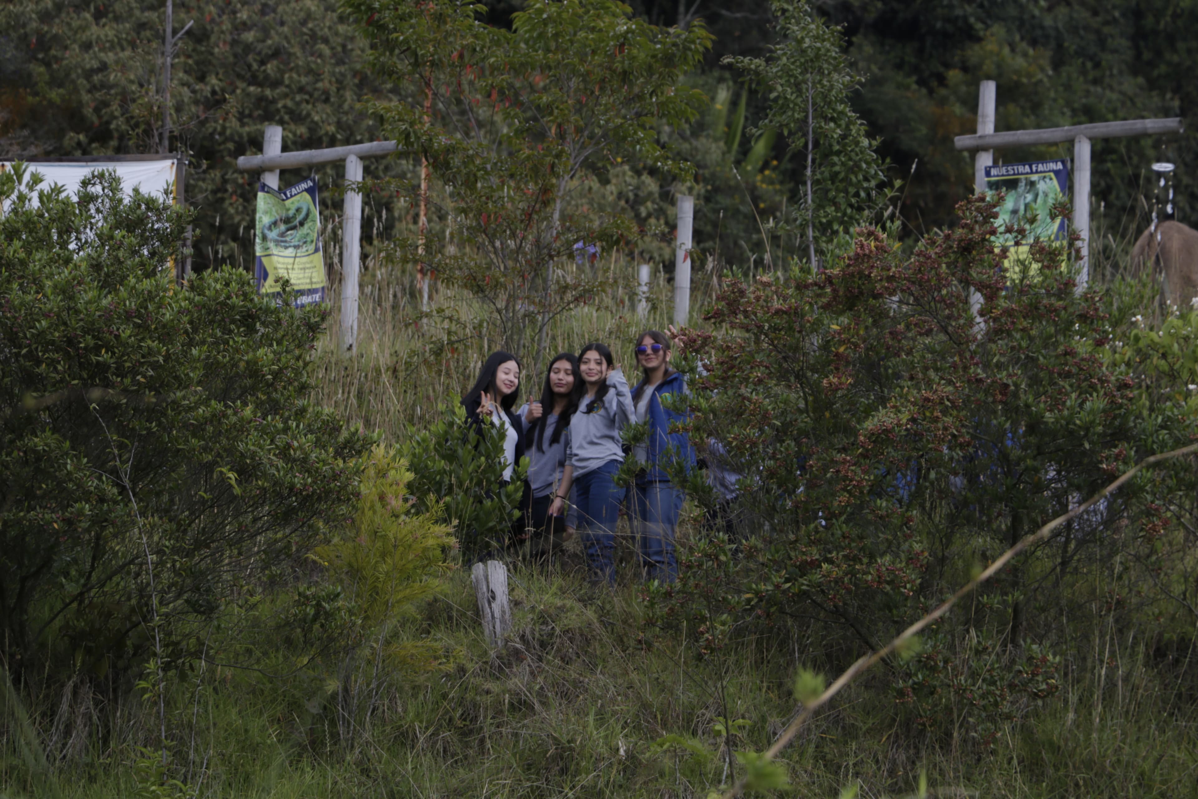 Exploración en la naturaleza